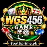 wgs456 game